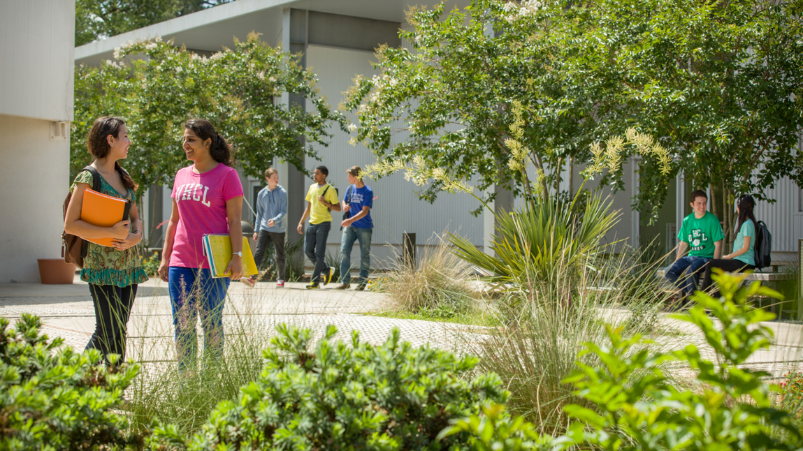 Connecting with our peers