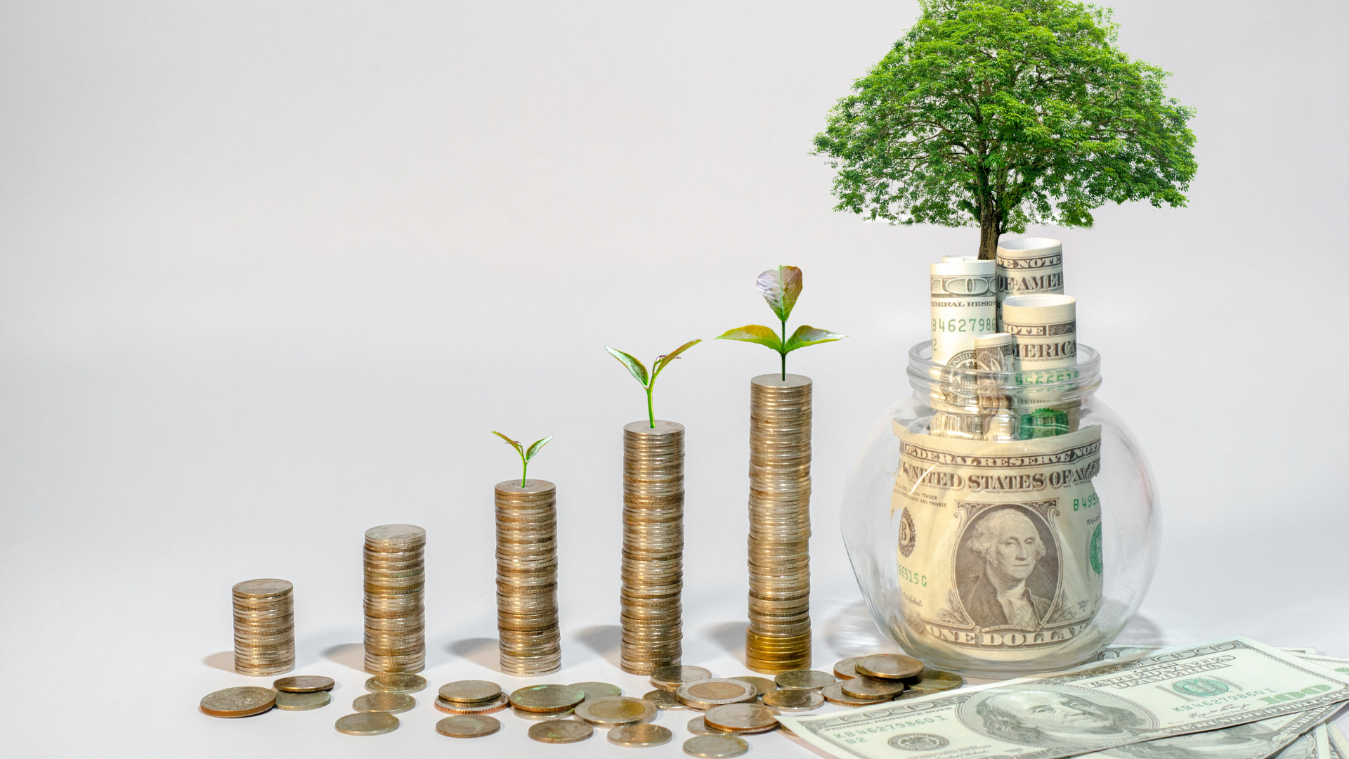 The Everyday Finance Club helps fellow students with financial literacy 