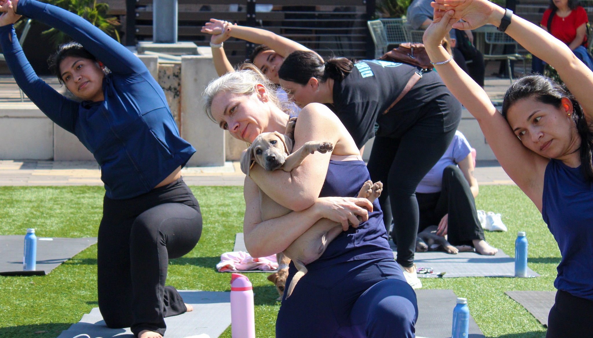 Life Time Fitness and Three Little Pitties Rescue bring the community together through Puppy Yoga
