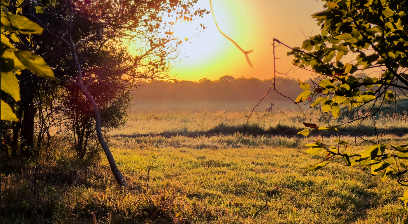 Wildlife habitats hurting