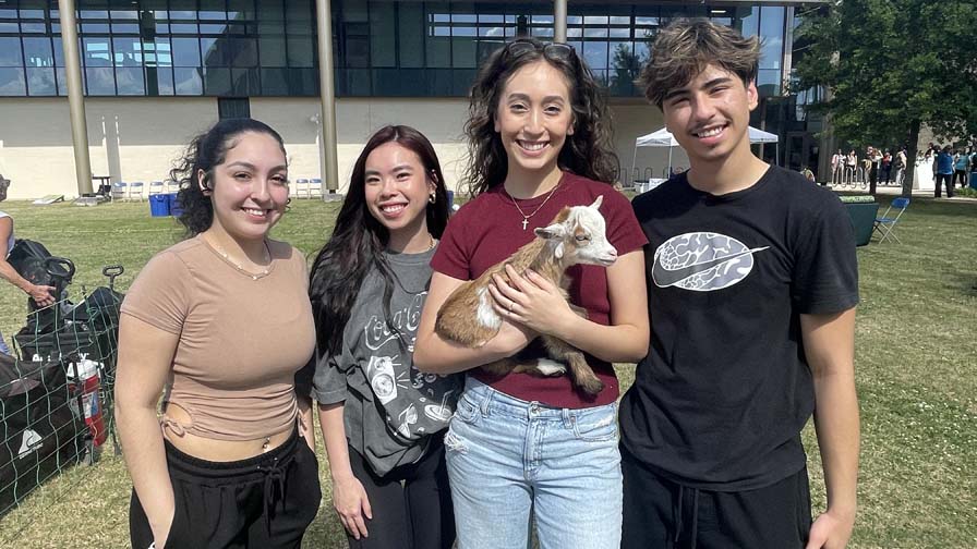 First-Ever Fit Fest Draws Crowd with Goat Yoga: Photo Gallery