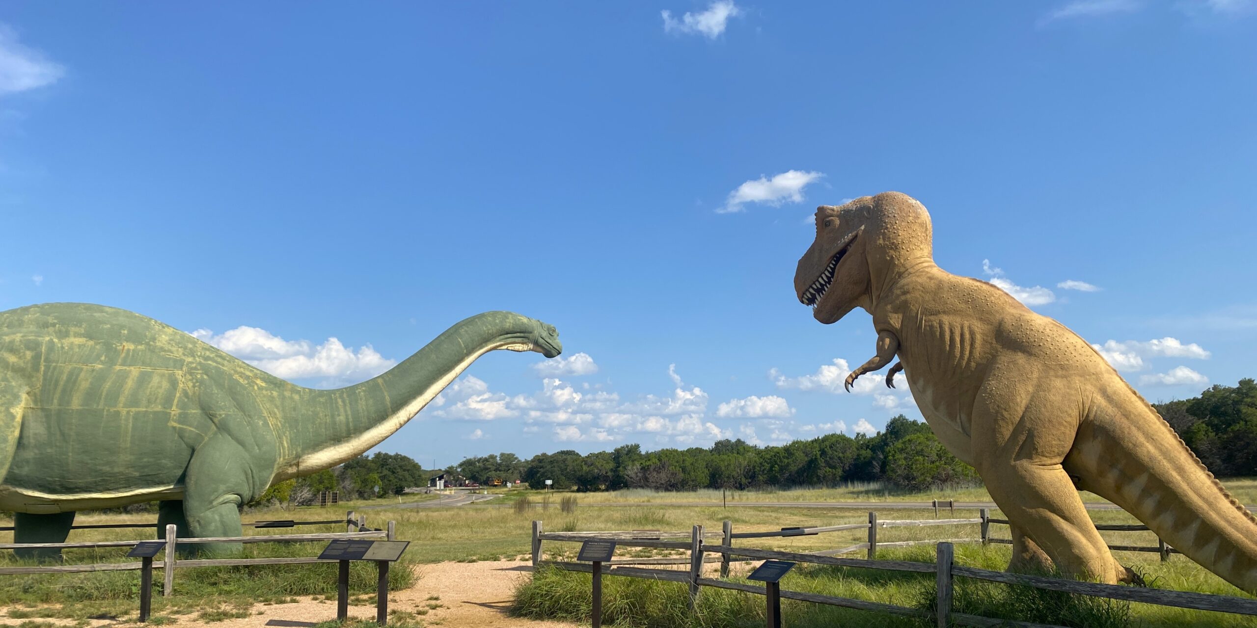 Hawk on the Loose in State Park! My visit to Dinosaur Valley